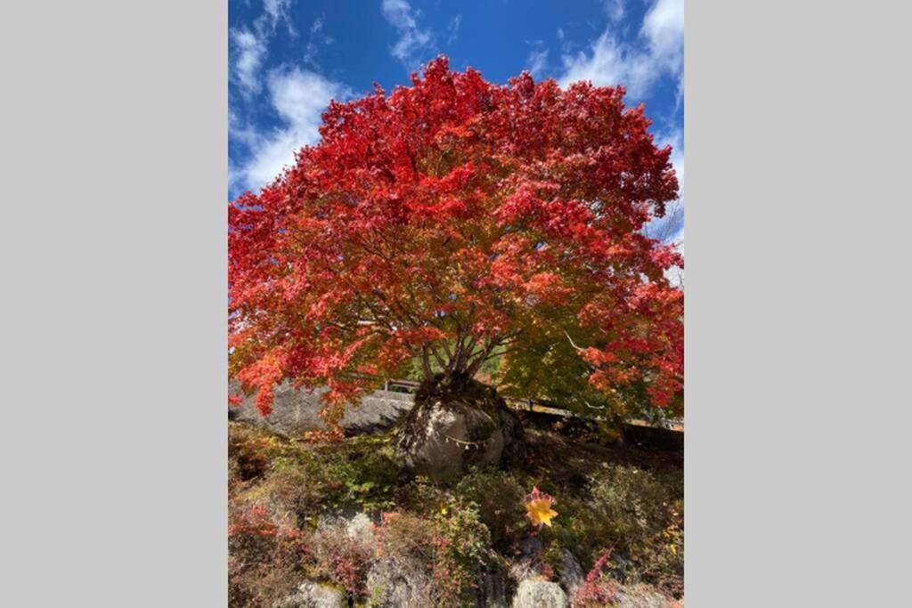 花緑里-Hanamidori-乙原のやど 岐阜下呂温泉郡上飛騨金山湖畔リゾート Gujo Exterior photo